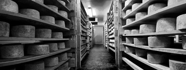 Ashmore Cheese Maturing at our Kent Dairy