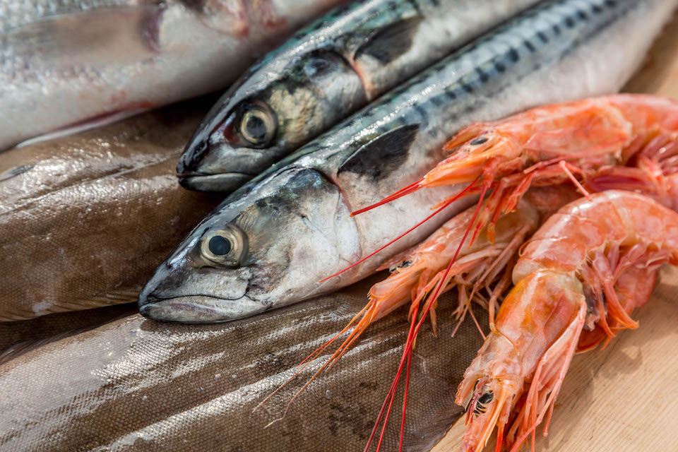 Independent fishmonger, fresh British fish