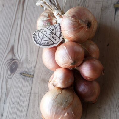 Pink Roscoff Onions France